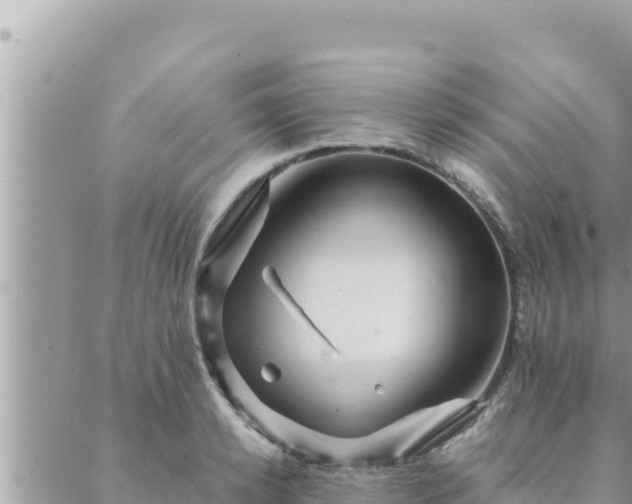 X0000088600942200706011159