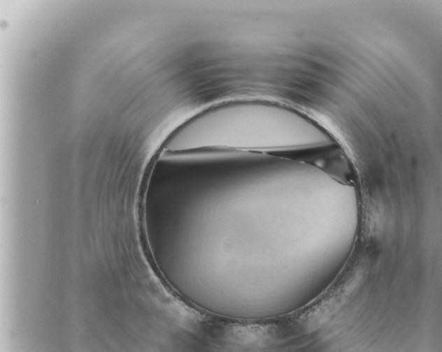 X0000088600943200706011159