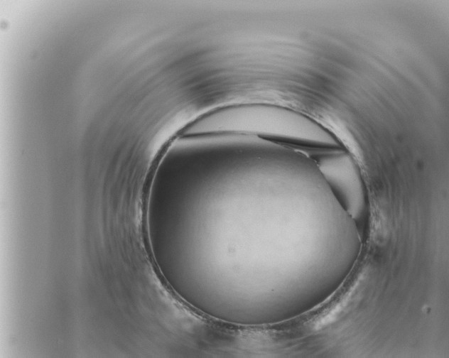 X0000088600944200706011159