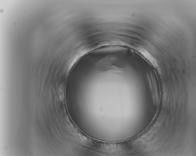 X0000088600945200706011159