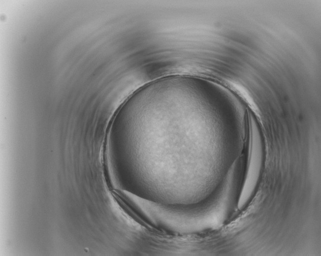 X0000088600946200706011159