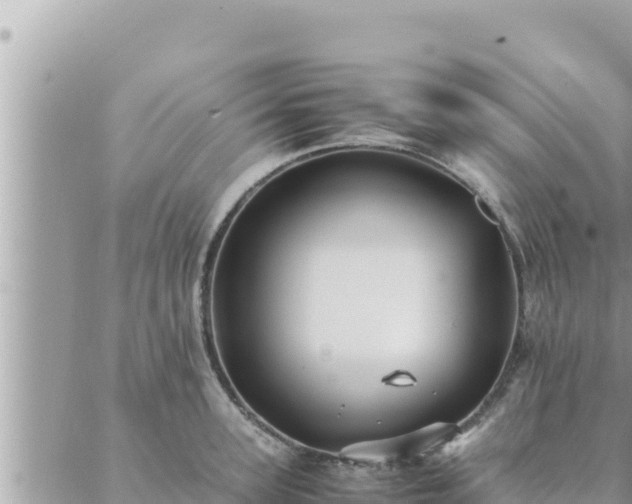 X0000088600947200706011159