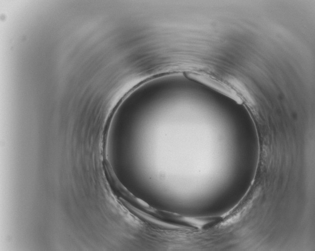 X0000088600948200706011159