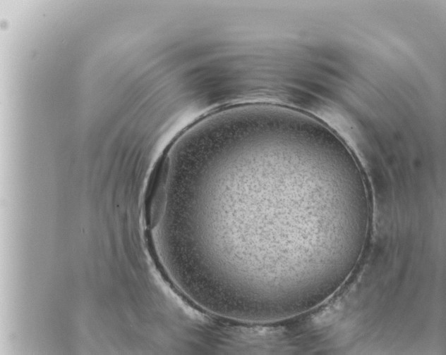 X0000088600949200706011159