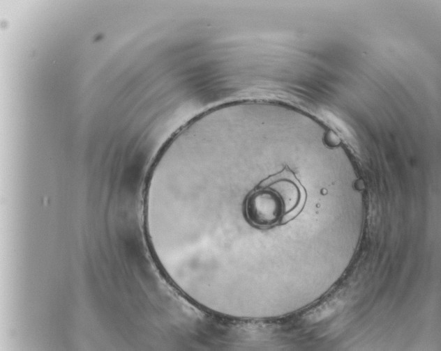 X0000088600950200706011159