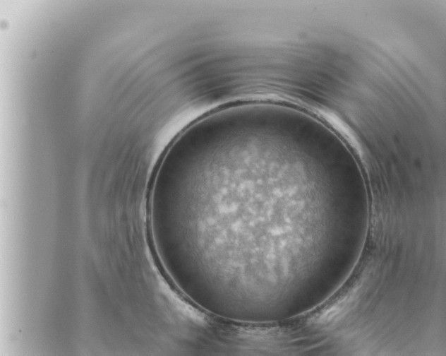 X0000088600951200706011159