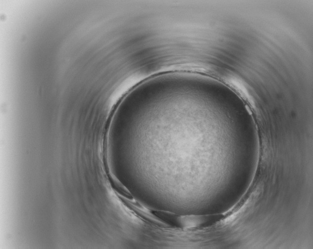 X0000088600952200706011159