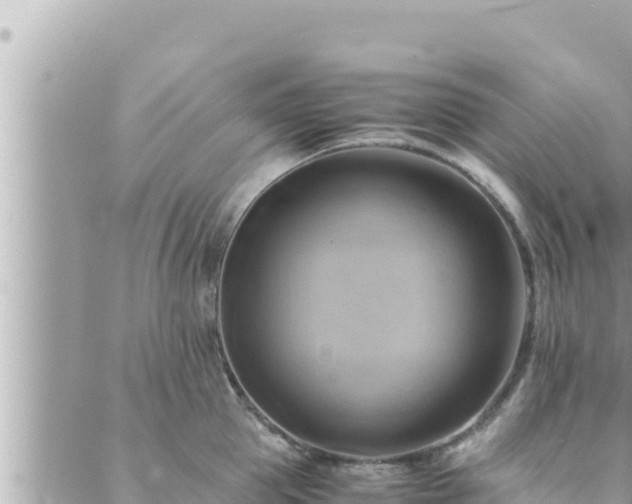 X0000088600953200706011159