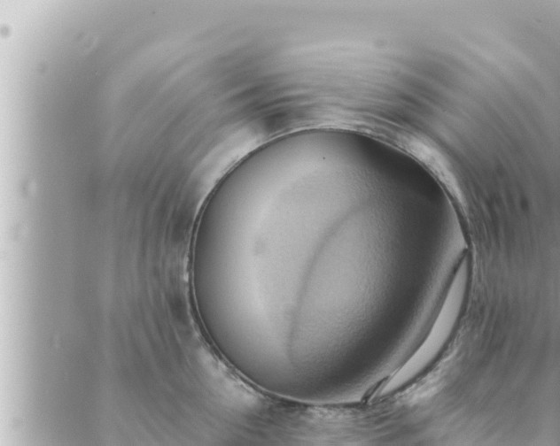 X0000088600954200706011159