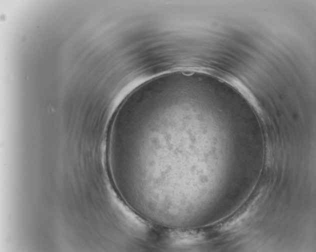 X0000088600955200706011159