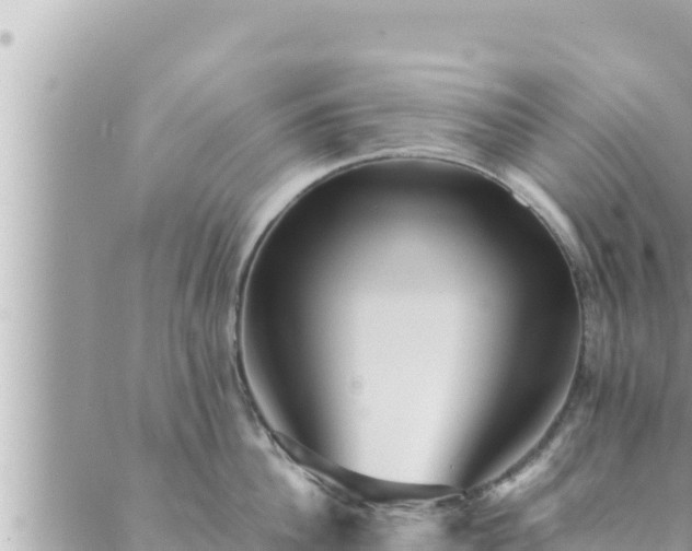 X0000088600956200706011159