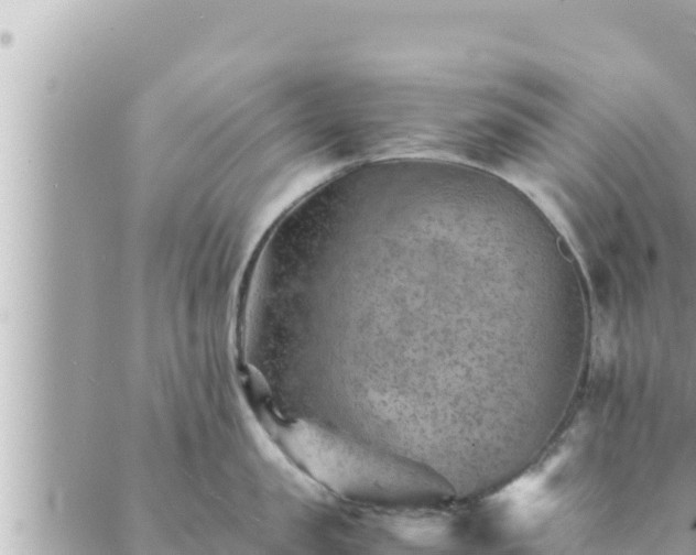 X0000088600957200706011159