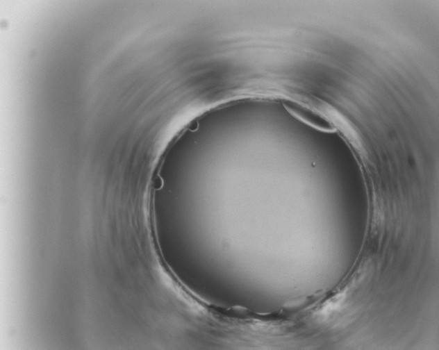 X0000088600958200706011159