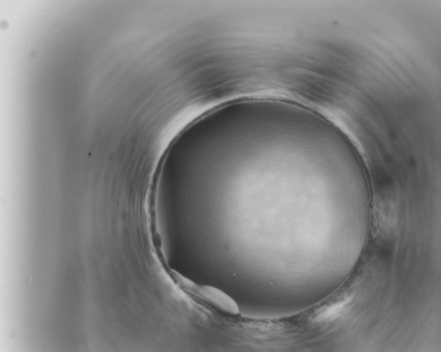 X0000088600959200706011159