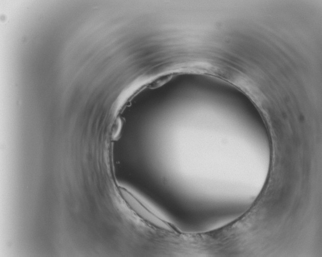 X0000088600960200706011159