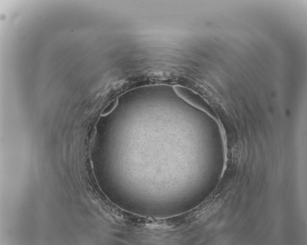 X0000088600961200706011159