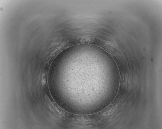 X0000088600962200706011158