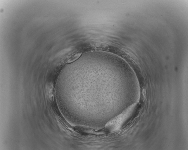 X0000088600963200706011158