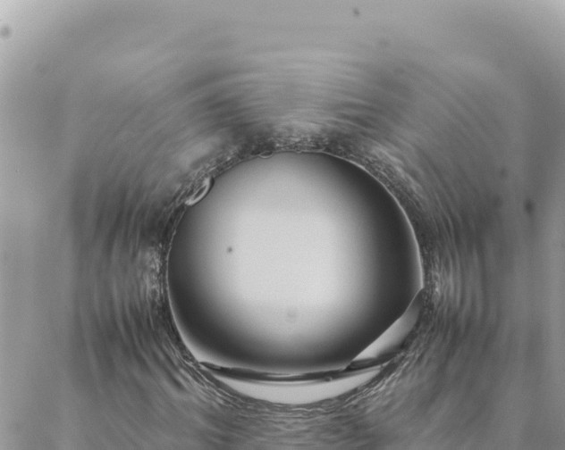 X0000088600964200706011158