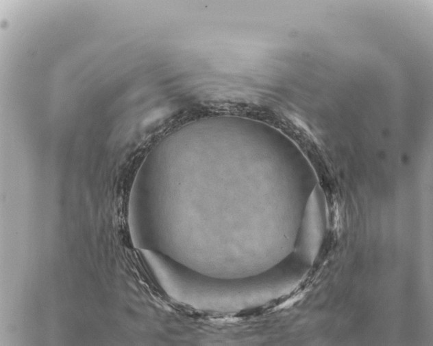 X0000088600965200706011158