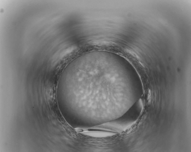 X0000088600966200706011158