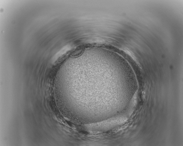 X0000088600967200706011158