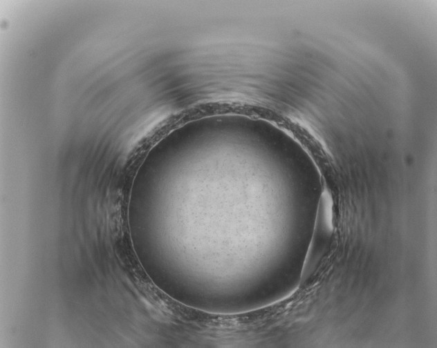 X0000088600968200706011158