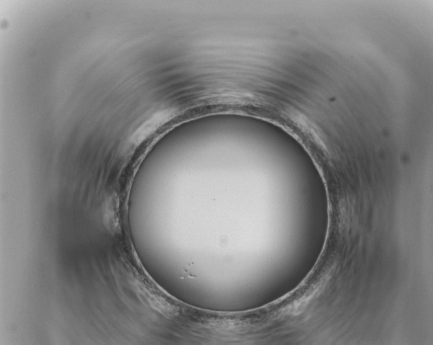 X0000088600970200706011158