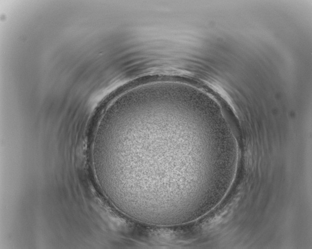 X0000088600971200706011158