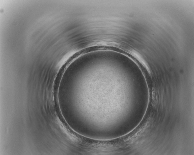 X0000088600972200706011158