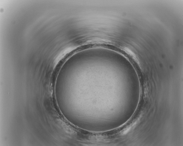 X0000088600973200706011158