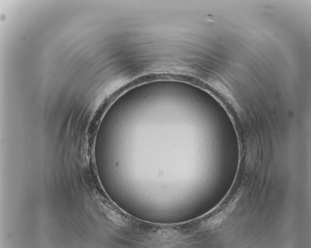 X0000088600974200706011158