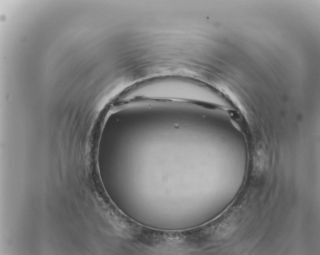 X0000088600975200706011158