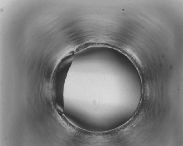 X0000088600976200706011158