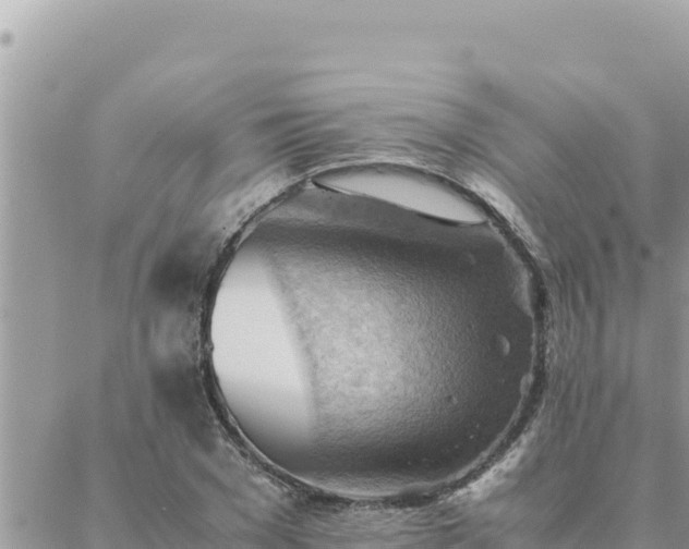 X0000088600977200706011158