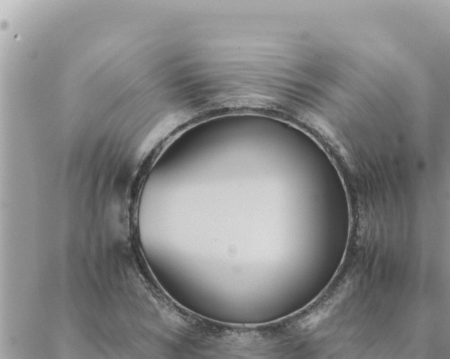 X0000088600978200706011158