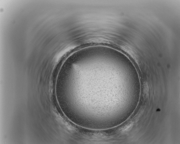 X0000088600979200706011158