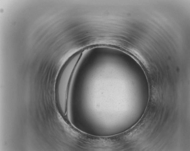 X0000088600980200706011158