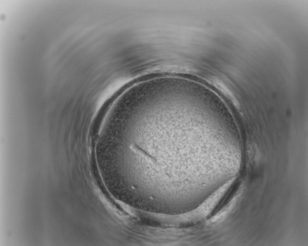 X0000088600981200706011158