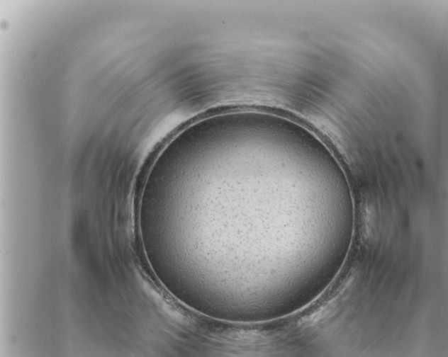 X0000088600982200706011158