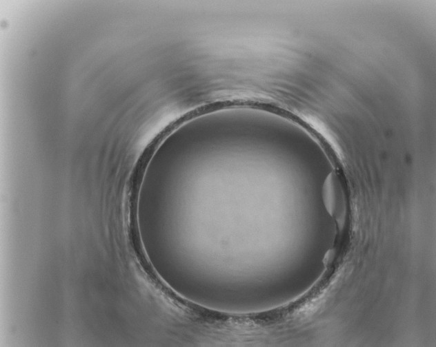 X0000088600983200706011158