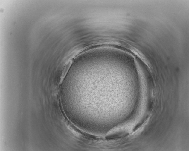 X0000088600985200706011158