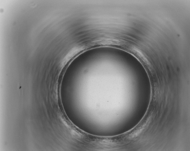 X0000088600986200706011158