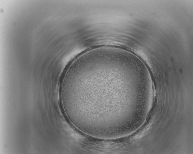 X0000088600987200706011158