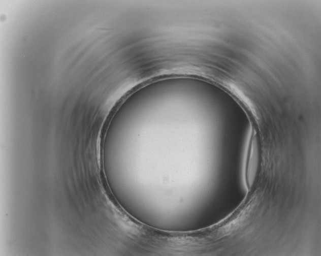 X0000088600988200706011158