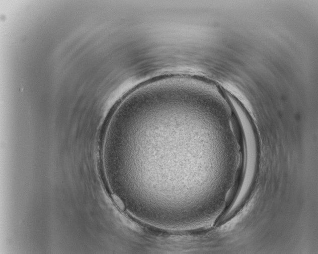 X0000088600989200706011158