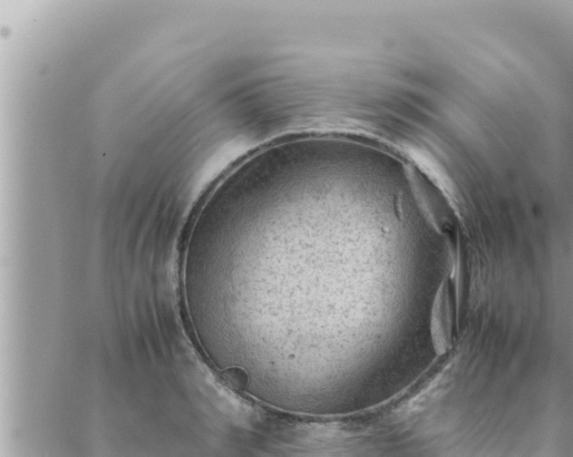 X0000088600990200706011158