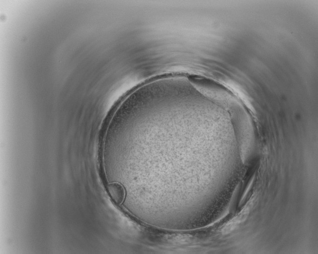 X0000088600991200706011158