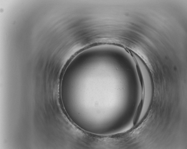 X0000088600992200706011158