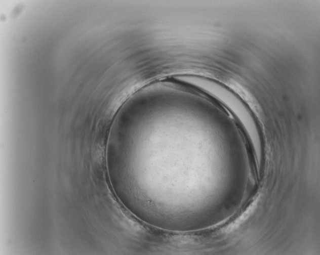 X0000088600993200706011158